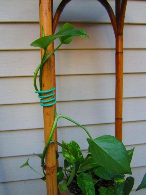 Promo 🛒 Happy Hydro Garden Soft Tie | 26ft Planting & Watering 👏 3 Happy Hydro Garden Soft Tie | 26ft Planting & Watering