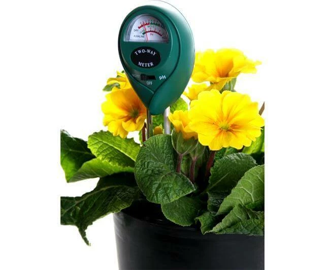 Best Pirce ๐ Active Air Planting & Watering 2-Way PH & Moisture Meter โจ 2 Active Air Planting & Watering 2-Way PH & Moisture Meter