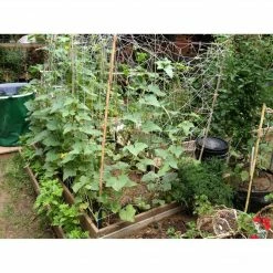 Deals 😉 Planting & Watering Blumat Large Hose Pressure Garden Kit 🌟 7 Planting & Watering Blumat Large Hose Pressure Garden Kit