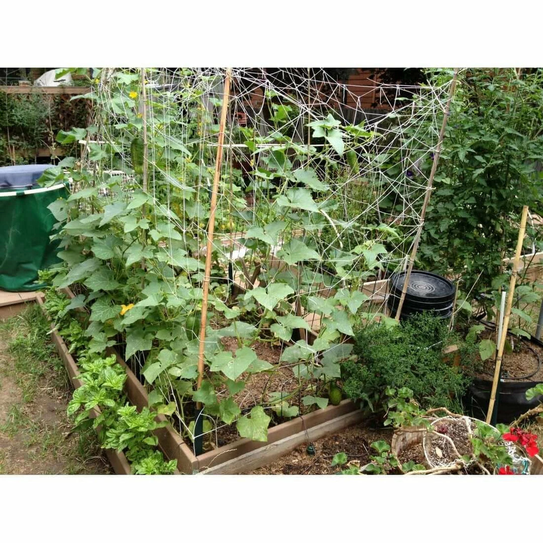 Deals 😉 Planting & Watering Blumat Large Hose Pressure Garden Kit 🌟 4 Planting & Watering Blumat Large Hose Pressure Garden Kit