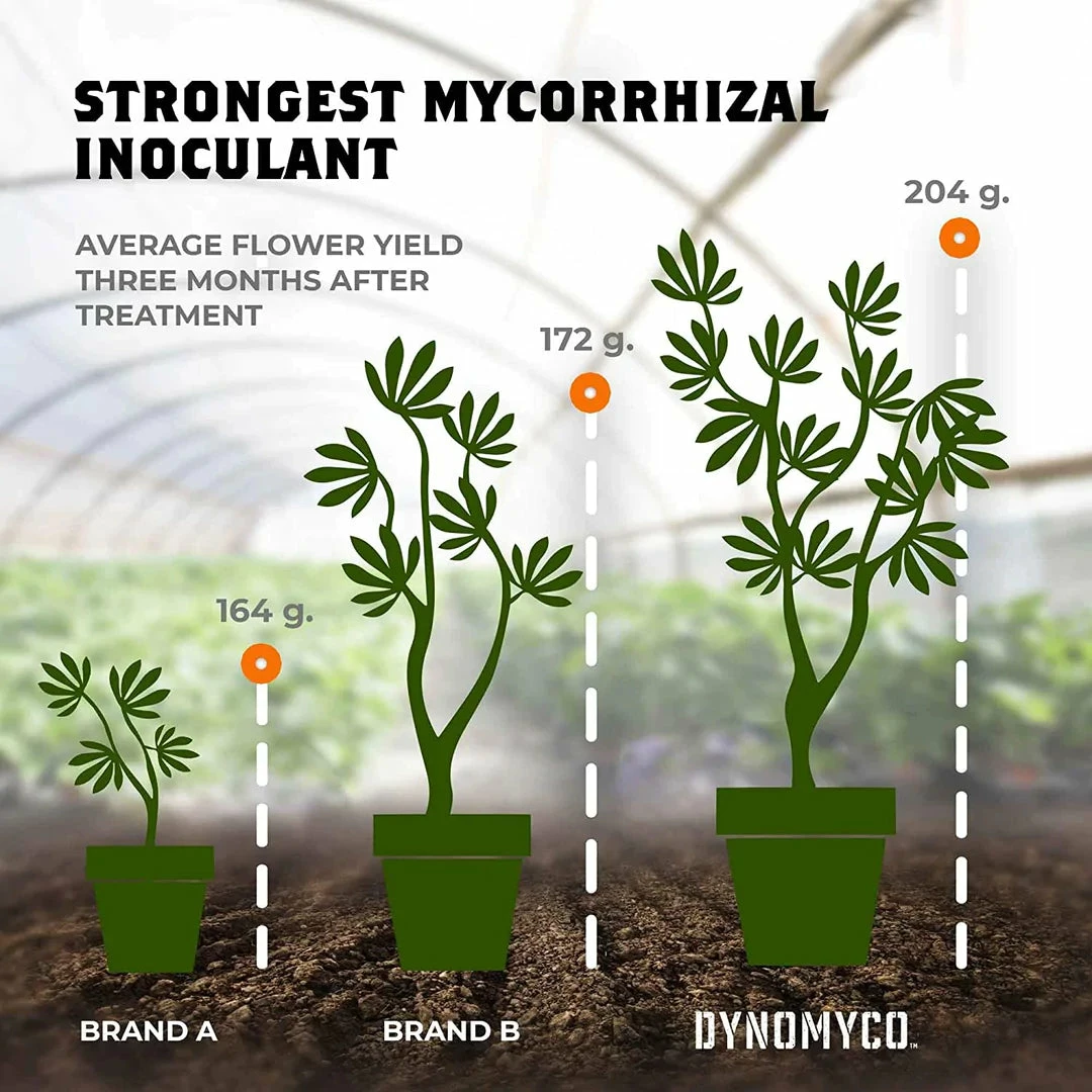 Flash Sale 🎁 Planting & Watering DYNOMYCO | Premium Mycorrhizal Inoculant 💯 5 Planting & Watering DYNOMYCO | Premium Mycorrhizal Inoculant