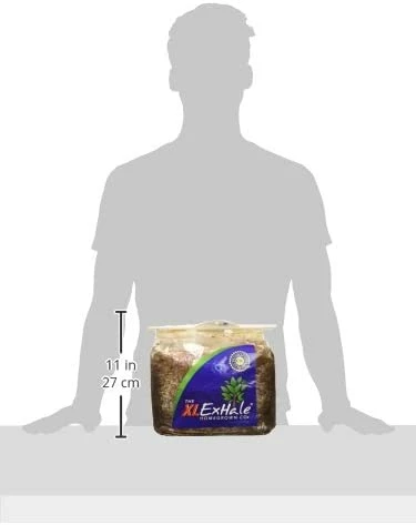 Cheap 🌟 ExHale | XL CO2 Bag Your Grow Room 🤩 2 ExHale | XL CO2 Bag Your Grow Room