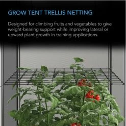 Buy ⭐ AC Infinity | Grow Tent Trellis Flex Netting | 3' X 3' ✔️ 12 AC Infinity | Grow Tent Trellis Flex Netting | 3' X 3'