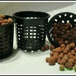 GEOLITE | Clay Pebbles Planting & Watering