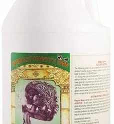 Top 10 🔥 Humboldt County's Own Emerald Triangle Purple Maxx Quart Planting & Watering 🤩 5 Humboldt County's Own Emerald Triangle Purple Maxx Quart Planting & Watering