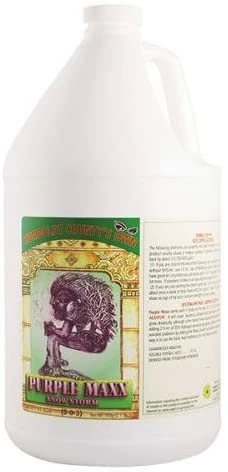 Top 10 🔥 Humboldt County's Own Emerald Triangle Purple Maxx Quart Planting & Watering 🤩 3 Humboldt County's Own Emerald Triangle Purple Maxx Quart Planting & Watering