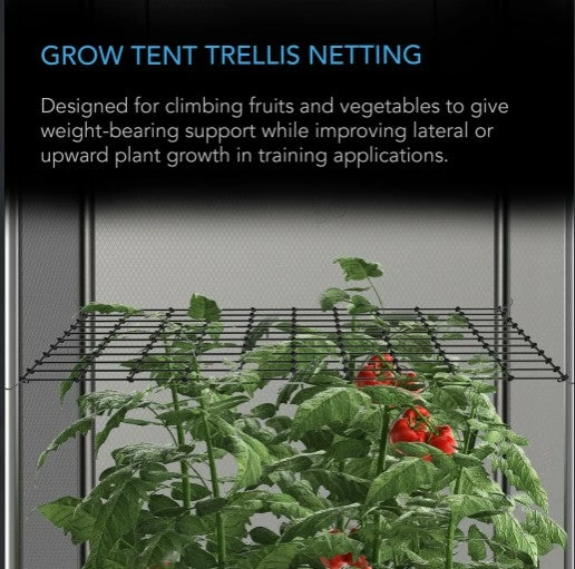 Cheap ๐ AC Infinity | Grow Tent Trellis Flex Netting | 5' X 5' Planting & Watering ๐งจ 5 AC Infinity | Grow Tent Trellis Flex Netting | 5' X 5' Planting & Watering