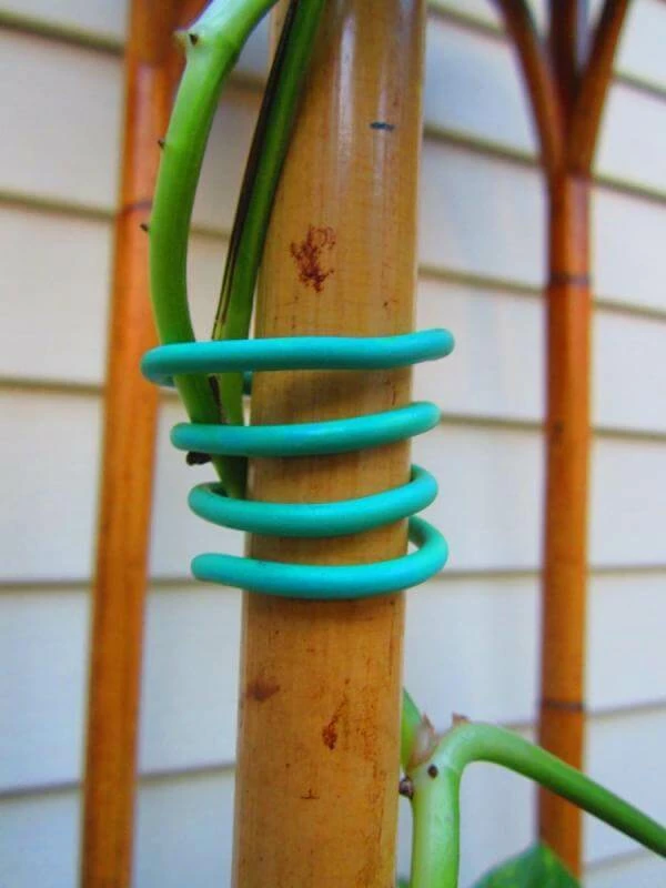 Promo 🛒 Happy Hydro Garden Soft Tie | 26ft Planting & Watering 👏 2 Happy Hydro Garden Soft Tie | 26ft Planting & Watering