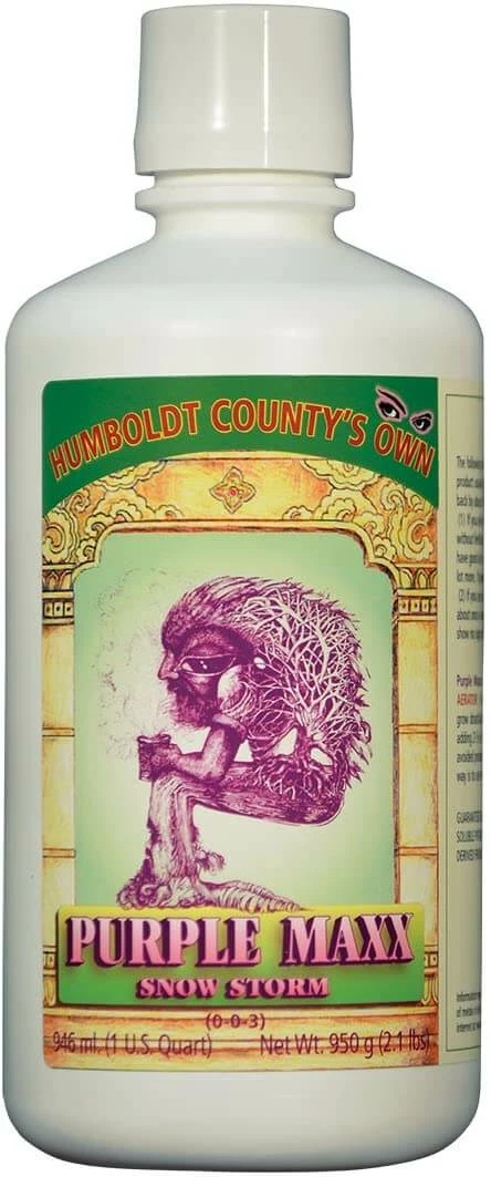 Top 10 🔥 Humboldt County's Own Emerald Triangle Purple Maxx Quart Planting & Watering 🤩 2 Humboldt County's Own Emerald Triangle Purple Maxx Quart Planting & Watering
