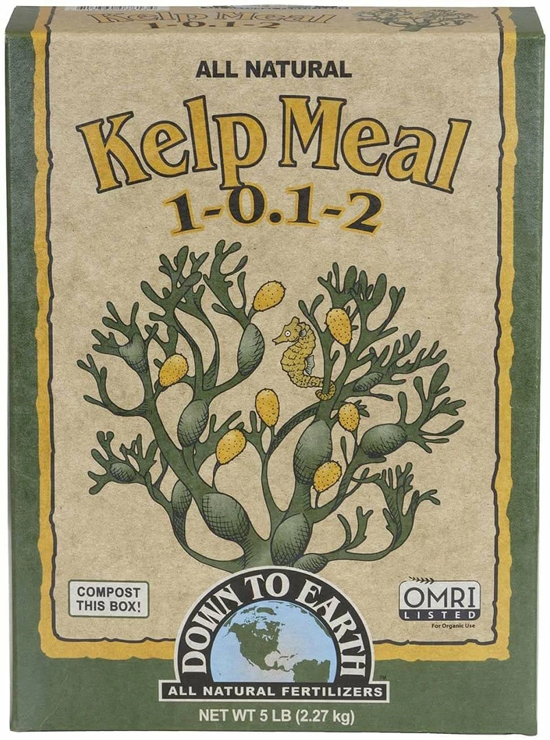 Cheapest ⌛ Down To Earth Kelp Meal - 5 Lb Planting & Watering 🤩 1 Down To Earth Kelp Meal - 5 Lb Planting & Watering