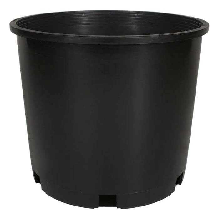 Cheap ๐ Happy Hydro 5-Gallon Pots & Saucers | Premium Black Squat Injection Nursery Pots | 5-Pack Planting & Watering ๐ 2 Happy Hydro 5-Gallon Pots & Saucers | Premium Black Squat Injection Nursery Pots | 5-Pack Planting & Watering