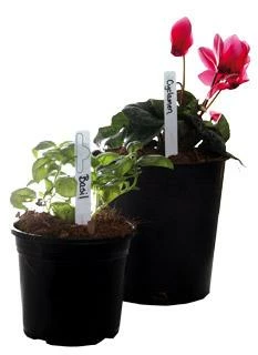 Budget 💯 HydroFarm Planting & Watering Plant Stake Labels White 6"x5/8" (50/pk) 😉 2 HydroFarm Planting & Watering Plant Stake Labels White 6"x5/8" (50/pk)