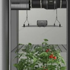 Cheap ๐ AC Infinity | Grow Tent Trellis Flex Netting | 5' X 5' Planting & Watering ๐งจ 8 AC Infinity | Grow Tent Trellis Flex Netting | 5' X 5' Planting & Watering