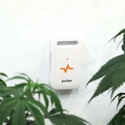 Deals โจ Pulse ONE Environmental Monitor - Monitor Your Grow Anywhere At Anytime ๐ 14 Pulse ONE Environmental Monitor - Monitor Your Grow Anywhere At Anytime