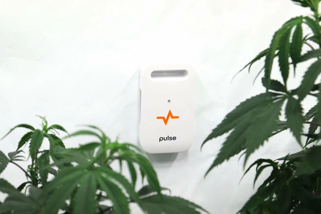 Deals โจ Pulse ONE Environmental Monitor - Monitor Your Grow Anywhere At Anytime ๐ 6 Pulse ONE Environmental Monitor - Monitor Your Grow Anywhere At Anytime