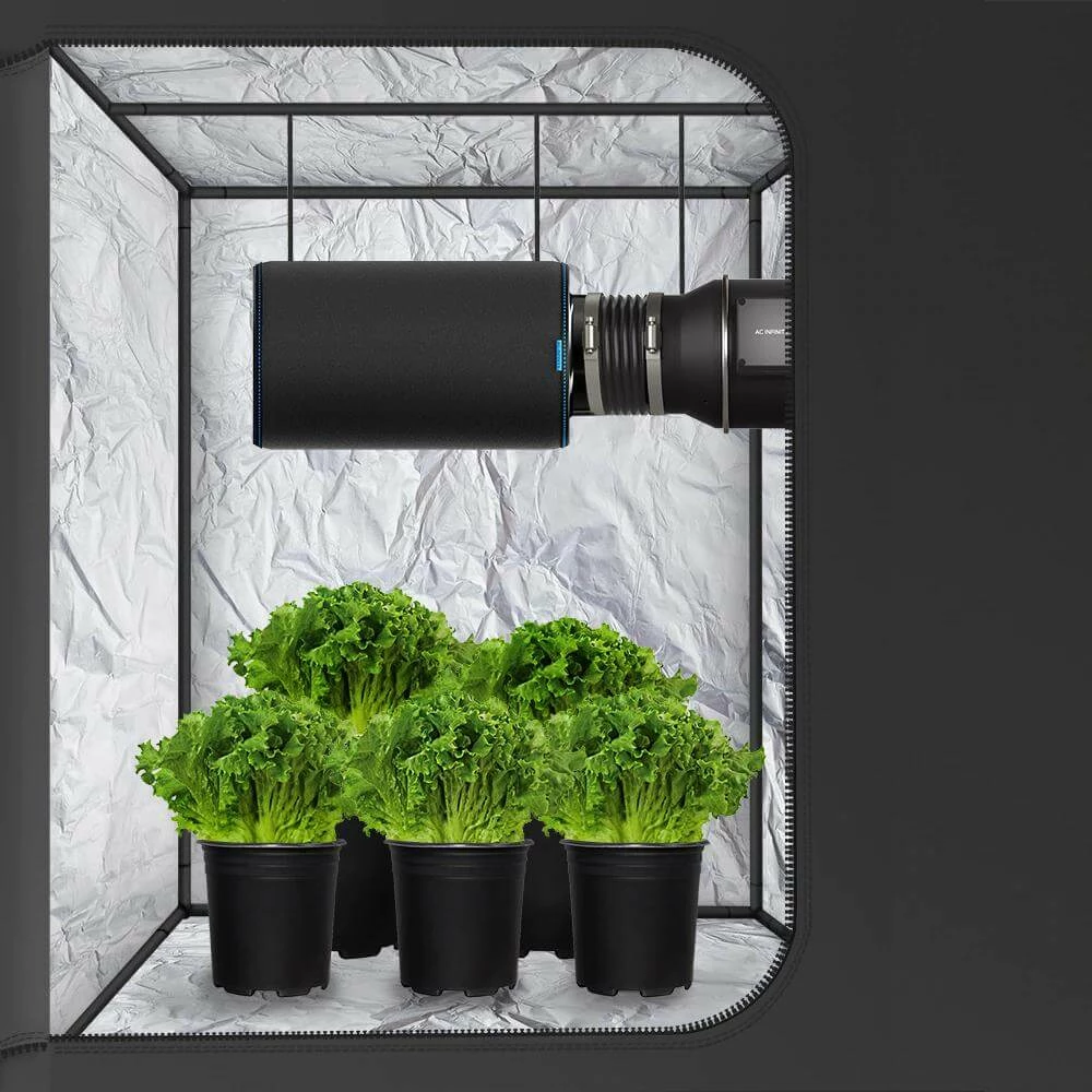 Best Pirce 👍 AC Infinity Duct Carbon Filter, Australian Charcoal, 8-Inch Your Grow Room ⭐ 7 AC Infinity Duct Carbon Filter, Australian Charcoal, 8-Inch Your Grow Room