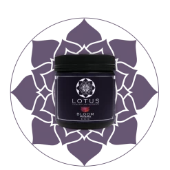 Budget 🥰 Planting & Watering Lotus Pro Series - Bloom 😍 18 Planting & Watering Lotus Pro Series - Bloom