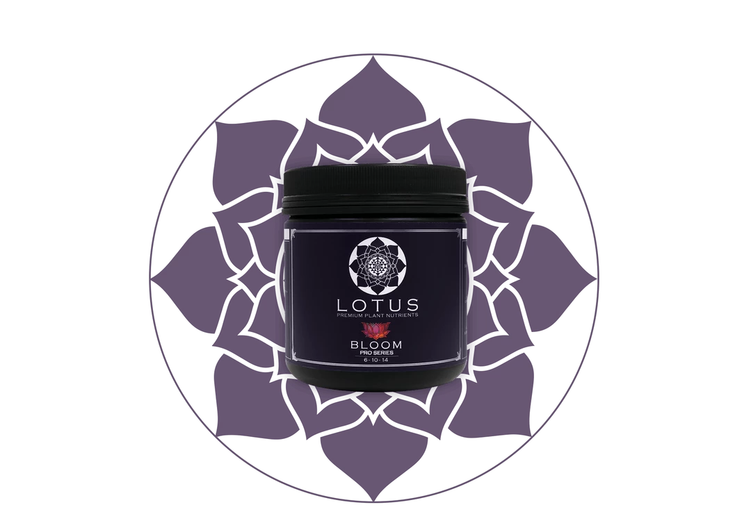 Budget 🥰 Planting & Watering Lotus Pro Series - Bloom 😍 1 Planting & Watering Lotus Pro Series - Bloom