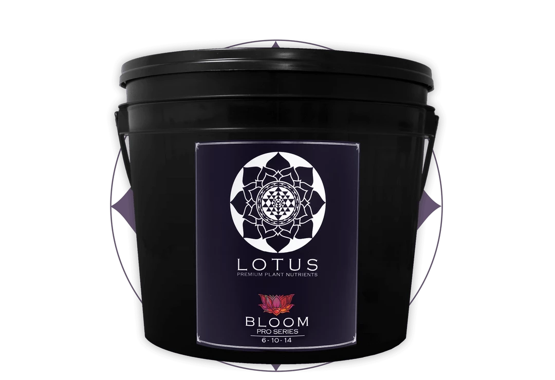 Budget 🥰 Planting & Watering Lotus Pro Series - Bloom 😍 5 Planting & Watering Lotus Pro Series - Bloom