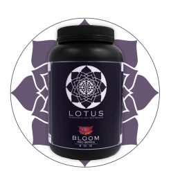 Budget 🥰 Planting & Watering Lotus Pro Series - Bloom 😍 20 Planting & Watering Lotus Pro Series - Bloom