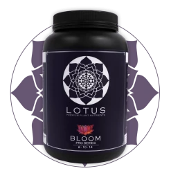 Budget 🥰 Planting & Watering Lotus Pro Series - Bloom 😍 15 Planting & Watering Lotus Pro Series - Bloom