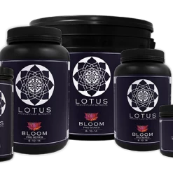 Budget 🥰 Planting & Watering Lotus Pro Series - Bloom 😍 17 Planting & Watering Lotus Pro Series - Bloom