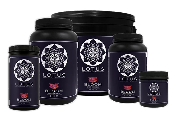 Budget 🥰 Planting & Watering Lotus Pro Series - Bloom 😍 6 Planting & Watering Lotus Pro Series - Bloom
