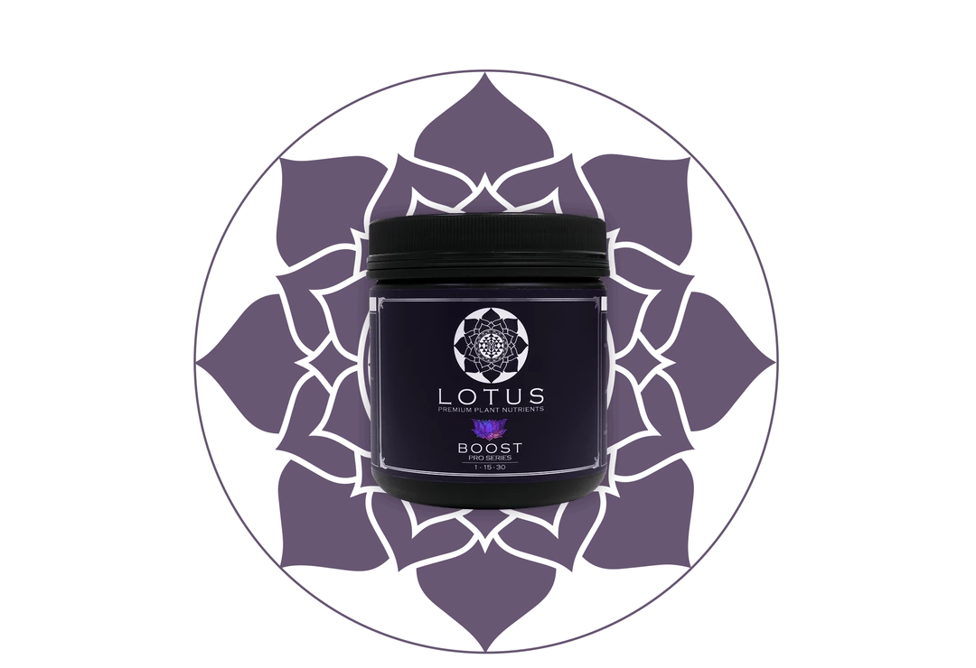 Outlet ๐ฏ Lotus Pro Series- Boost ๐ 5 Lotus Pro Series- Boost