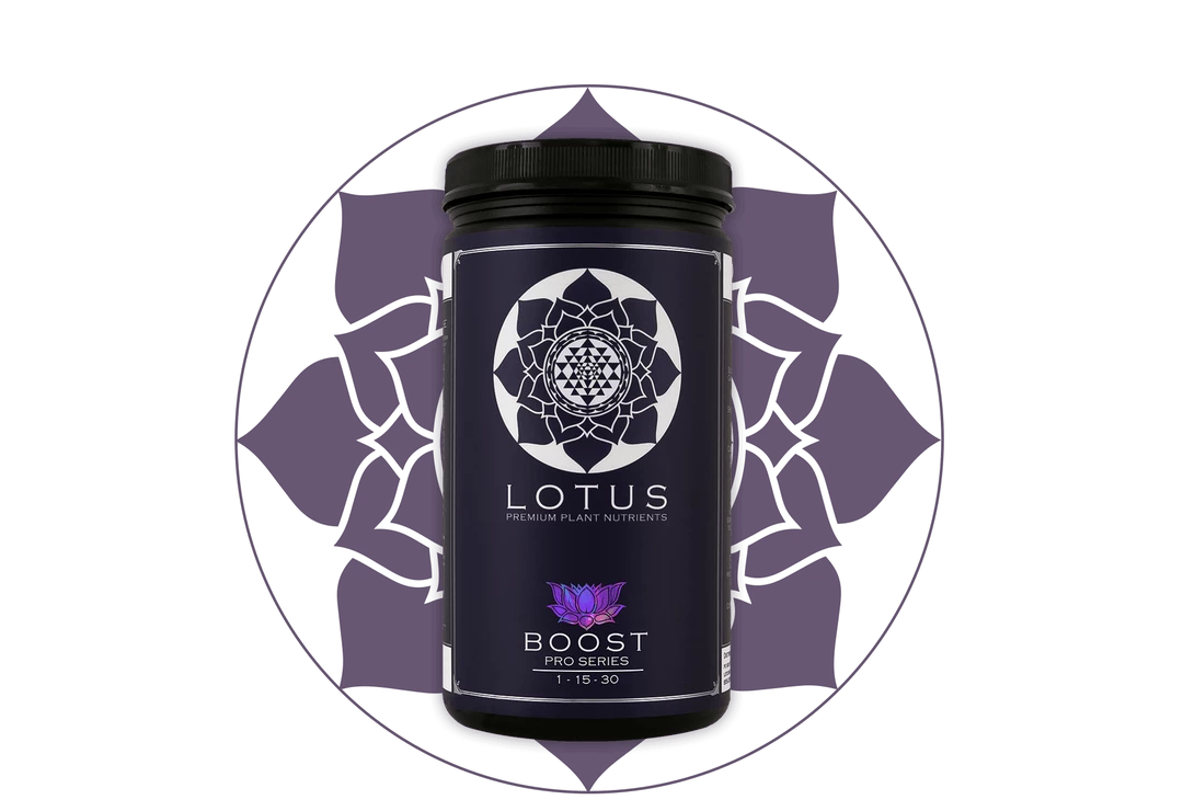Outlet ๐ฏ Lotus Pro Series- Boost ๐ 1 Lotus Pro Series- Boost