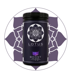 Outlet ๐ฏ Lotus Pro Series- Boost ๐ 14 Lotus Pro Series- Boost
