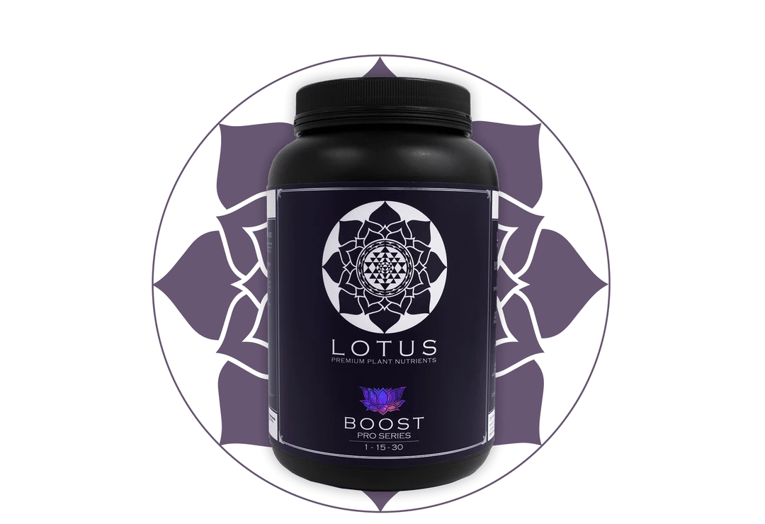 Outlet ๐ฏ Lotus Pro Series- Boost ๐ 7 Lotus Pro Series- Boost