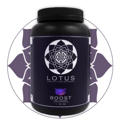 Outlet ๐ฏ Lotus Pro Series- Boost ๐ 16 Lotus Pro Series- Boost