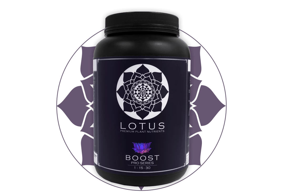 Outlet ๐ฏ Lotus Pro Series- Boost ๐ 8 Lotus Pro Series- Boost