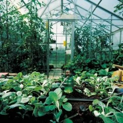 Cheapest π― Blumat Medium Box Kit - Automatic Irrigation For Up To 12 Plants β€οΈ 11 Blumat Medium Box Kit - Automatic Irrigation For Up To 12 Plants