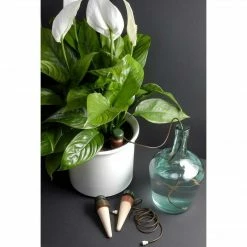 Blumat Classics XL (Junior) Automatic Watering Stakes (2-Pack, XL) Blumat Watering Systems