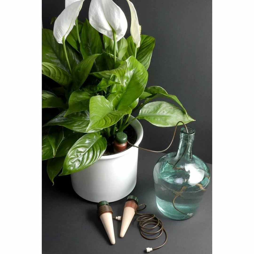 Best reviews of 🤩 Blumat Classics XL (Junior) Automatic Watering Stakes (2-Pack, XL) Blumat Watering Systems 🧨 1 Blumat Classics XL (Junior) Automatic Watering Stakes (2-Pack, XL) Blumat Watering Systems