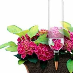 Hot Sale 🔔 Blumat Bottle Adapter Plant Watering Stakes (6-Pack) ⌛ 5 Blumat Bottle Adapter Plant Watering Stakes (6-Pack)