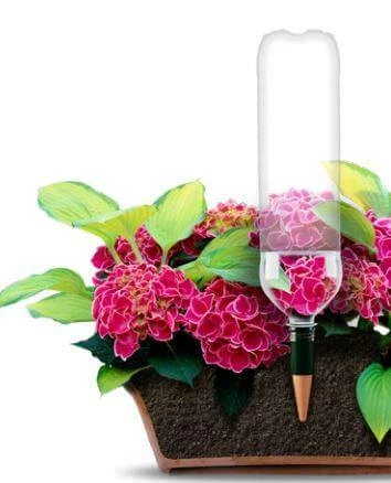 Discount โจ Blumat Bottle Adapter XL Plant Watering Stakes (6-Pack, XL) Blumat Watering Systems ๐ 4 Blumat Bottle Adapter XL Plant Watering Stakes (6-Pack, XL) Blumat Watering Systems