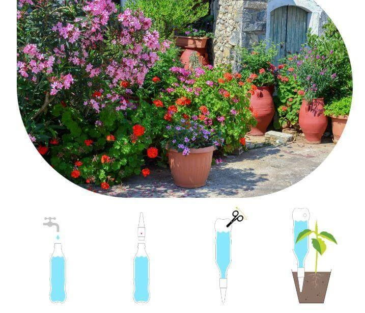 Discount โจ Blumat Bottle Adapter XL Plant Watering Stakes (6-Pack, XL) Blumat Watering Systems ๐ 3 Blumat Bottle Adapter XL Plant Watering Stakes (6-Pack, XL) Blumat Watering Systems