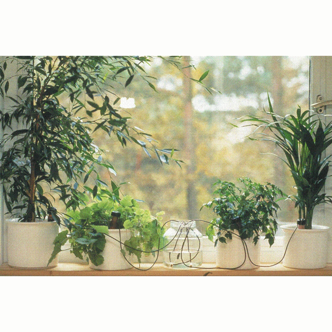 Best reviews of 🤩 Blumat Classics XL (Junior) Automatic Watering Stakes (2-Pack, XL) Blumat Watering Systems 🧨 3 Blumat Classics XL (Junior) Automatic Watering Stakes (2-Pack, XL) Blumat Watering Systems