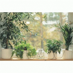 Blumat Watering Systems Blumat Classics XL (Junior) Automatic Watering Stakes (6-Pack, XL)