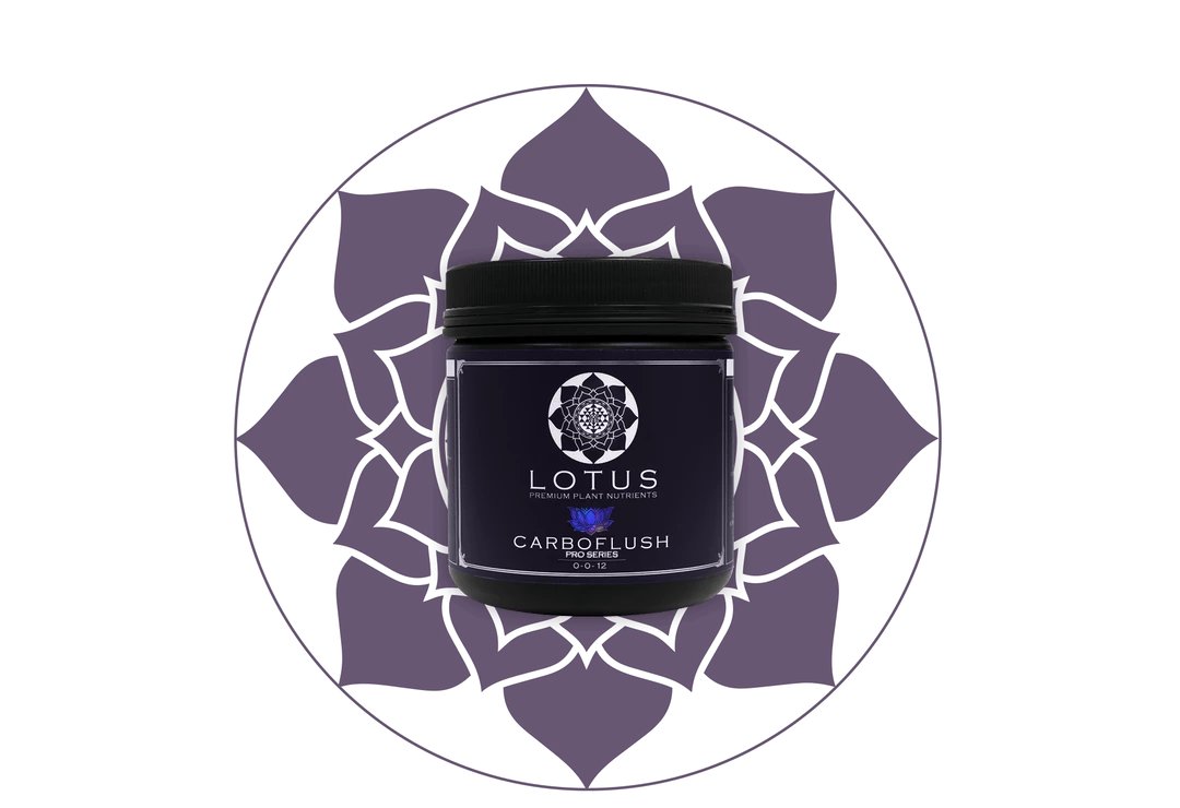 Deals 👏 Lotus Pro Series - Carboflush 🛒 5 Lotus Pro Series - Carboflush