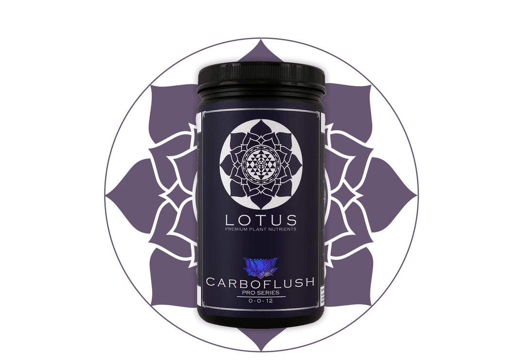 Deals 👏 Lotus Pro Series - Carboflush 🛒 6 Lotus Pro Series - Carboflush