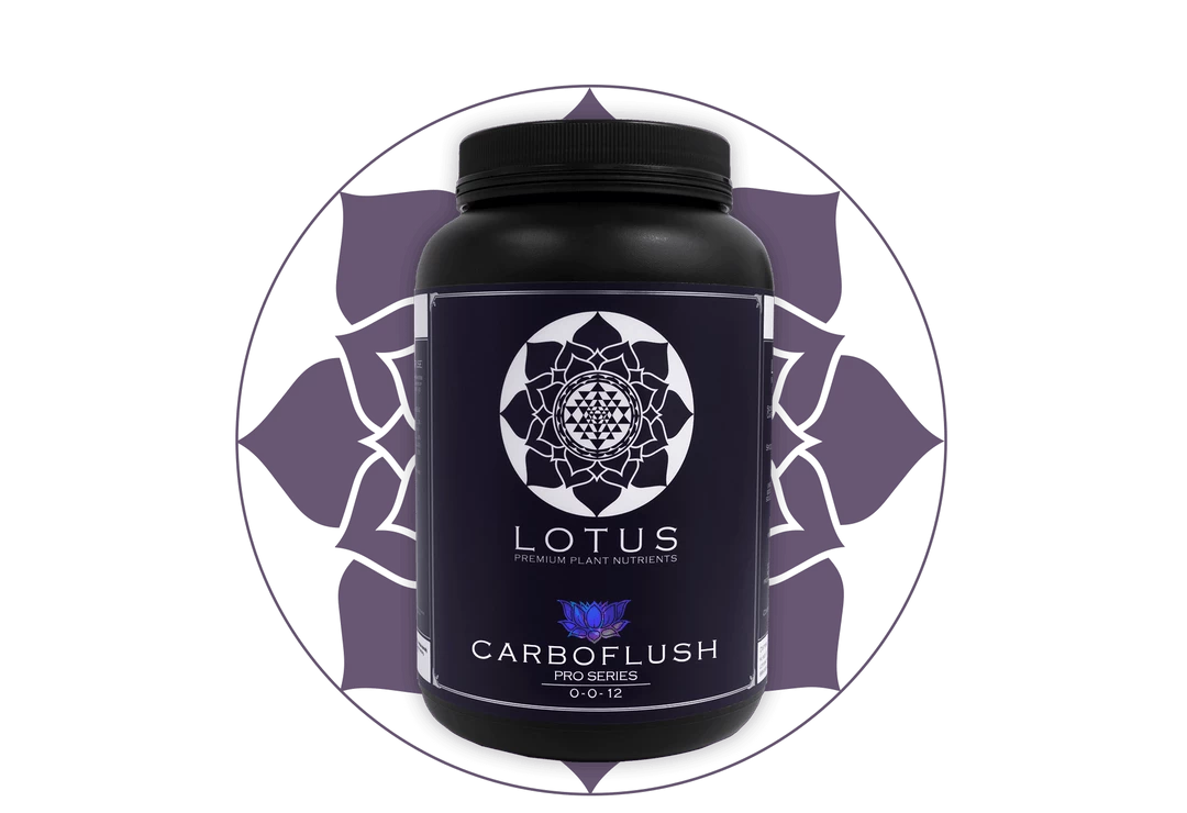 Deals 👏 Lotus Pro Series - Carboflush 🛒 3 Lotus Pro Series - Carboflush
