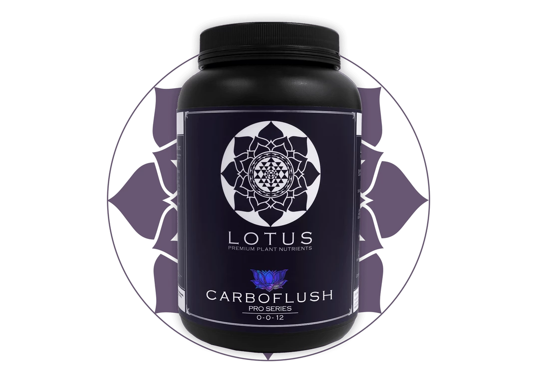 Deals 👏 Lotus Pro Series - Carboflush 🛒 4 Lotus Pro Series - Carboflush