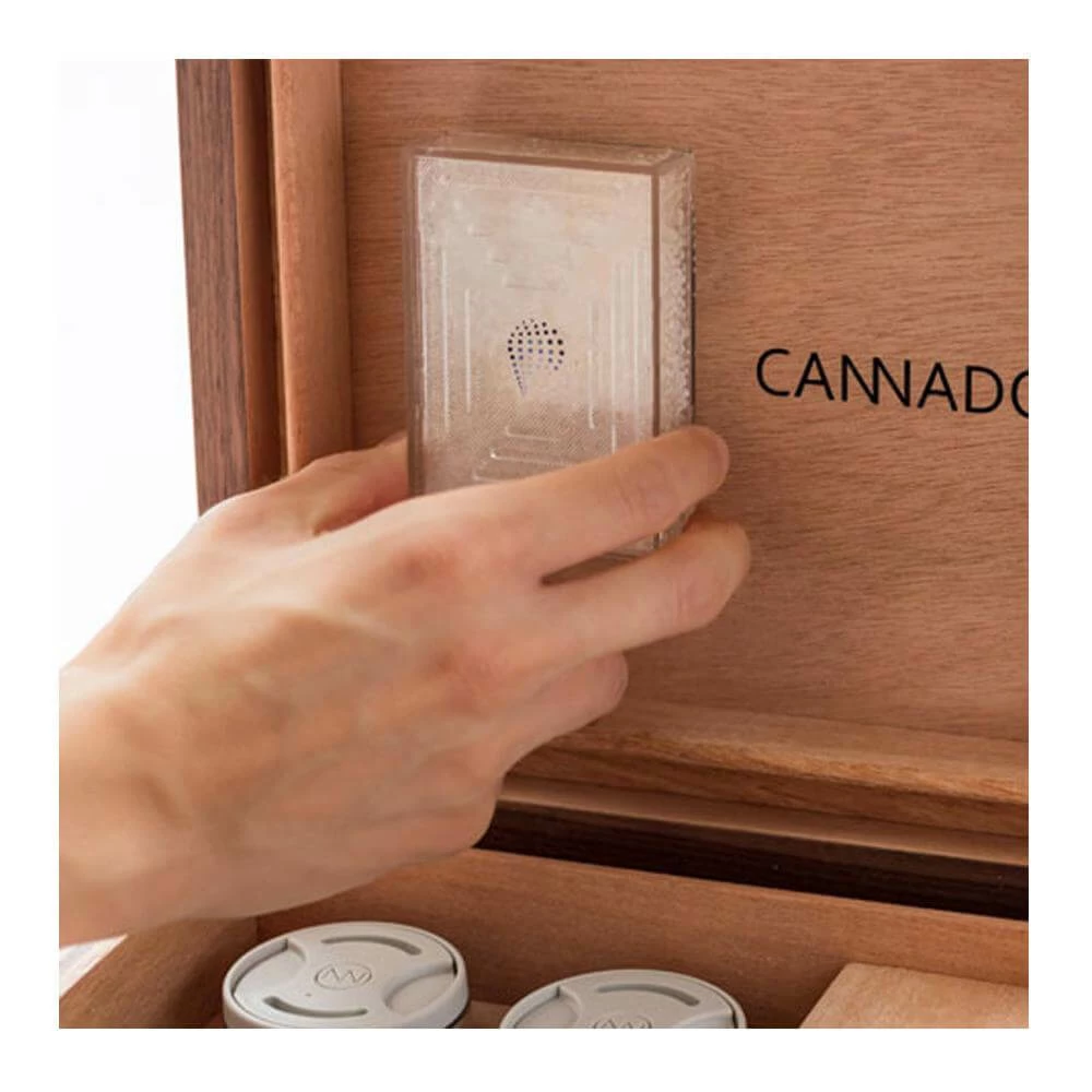 Budget 💯 Cannador® Pre-Roll Box With VaporBeads Grower Essentials 🛒 4 Cannador® Pre-Roll Box With VaporBeads Grower Essentials