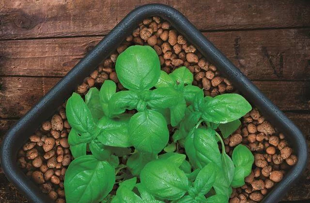 Hot Sale 🌟 Planting & Watering GROW!T Clay Pebbles, 40 L 🎁 2 Planting & Watering GROW!T Clay Pebbles, 40 L