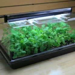 Super Sprouter Deluxe Propagation Kit Planting & Watering