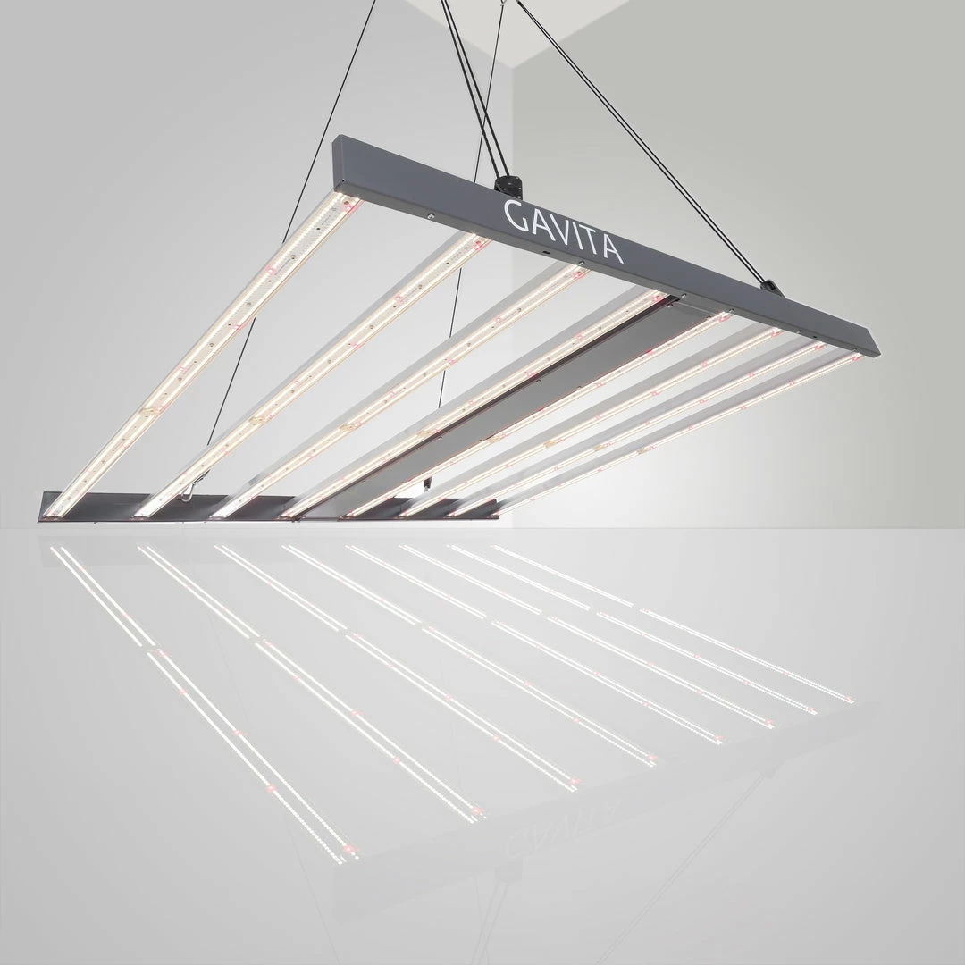 Wholesale 🛒 Gavita | Pro 1700e LED Grow Light | 120-277v Grow Lights 🥰 1 Gavita | Pro 1700e LED Grow Light | 120-277v Grow Lights