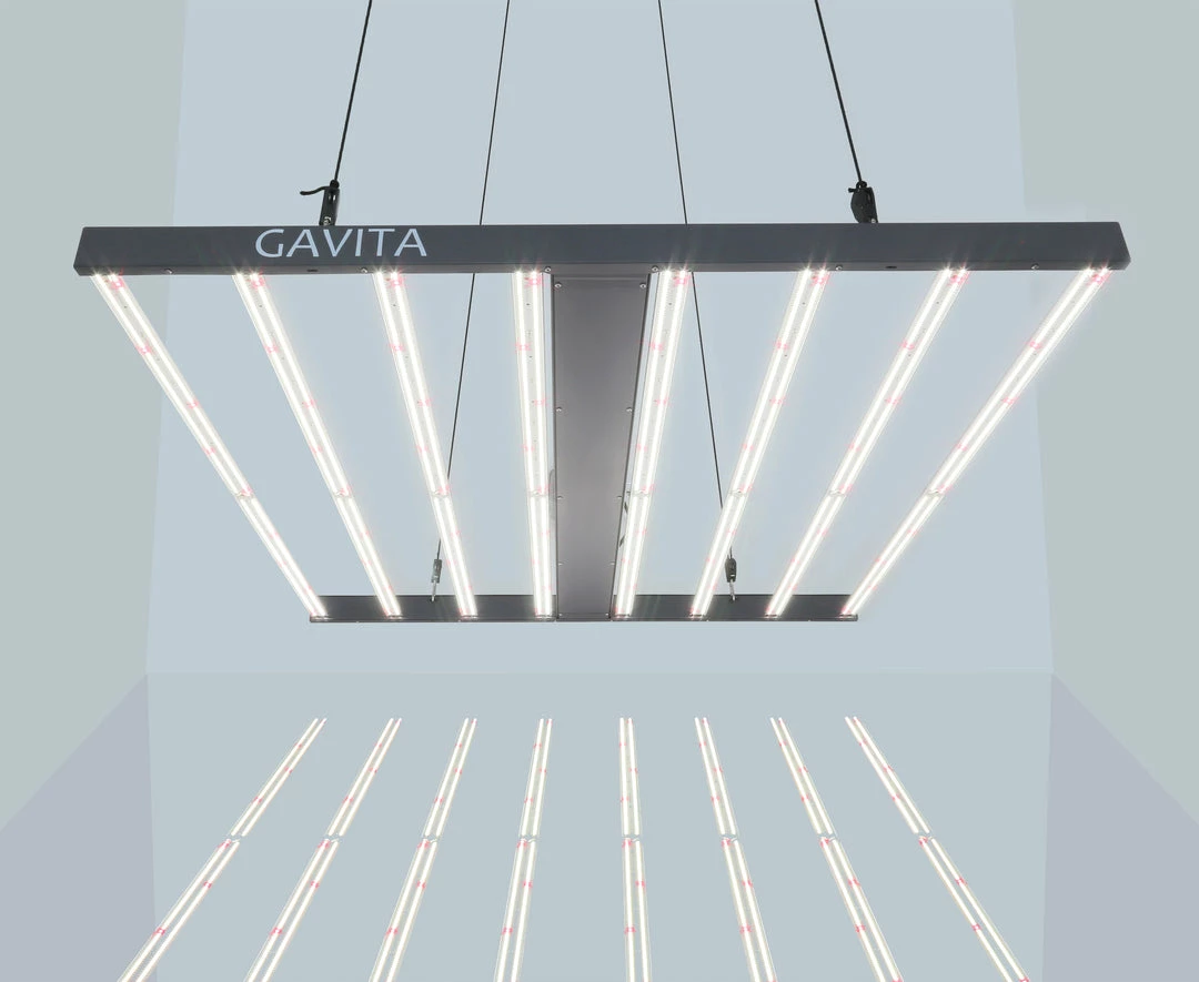 Wholesale 🛒 Gavita | Pro 1700e LED Grow Light | 120-277v Grow Lights 🥰 2 Gavita | Pro 1700e LED Grow Light | 120-277v Grow Lights